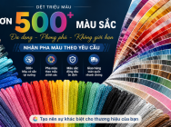 Dây giày giá sỉ